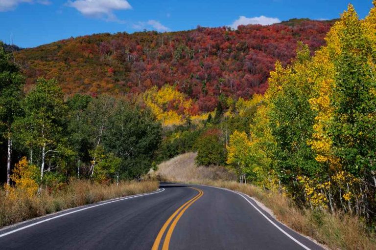 Top Road Trip Routes Across Northern Ontario