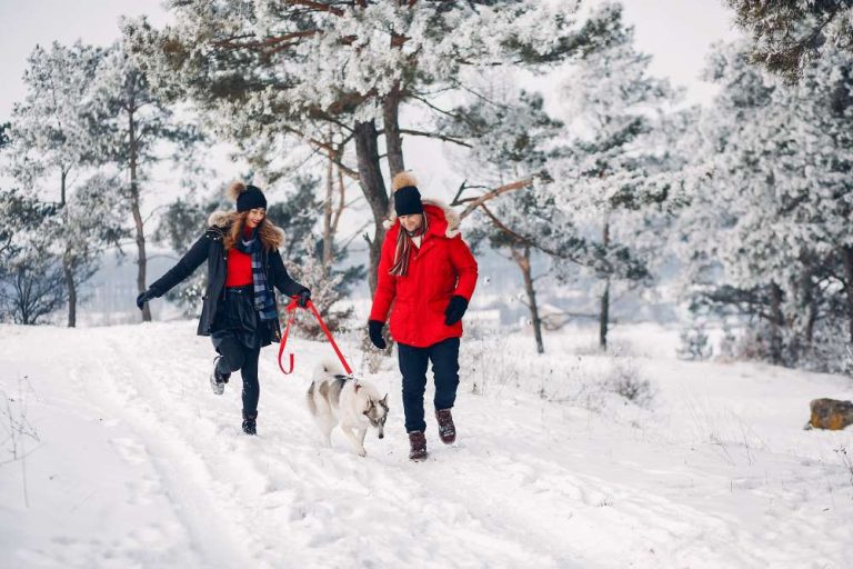 Winter Adventures in Northern Ontario: Things to Do